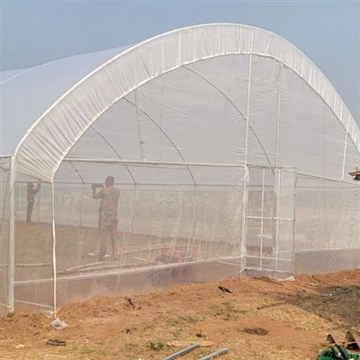 Парник тунельного бачення