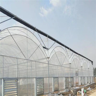 Овочева теплиця з пластикової плівки